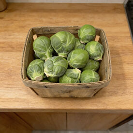 Silvia, (F1) Brussels Sprout Seeds